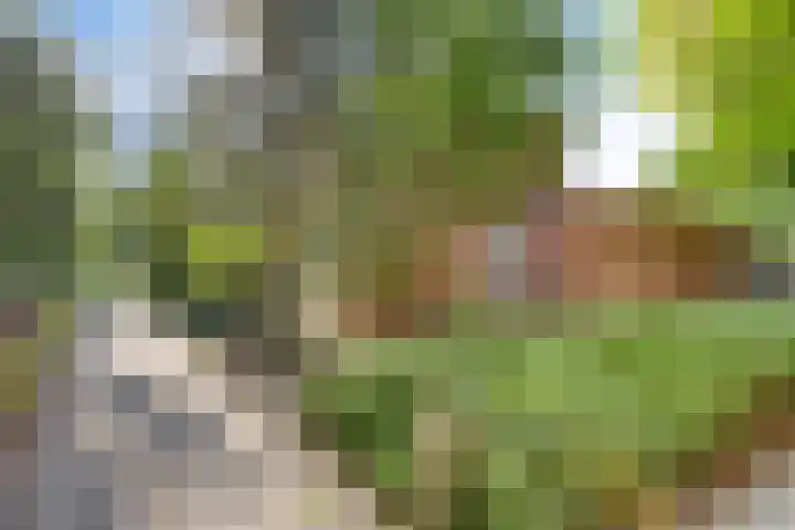 Uranusstraat 10 Hengelo thumbnail 31