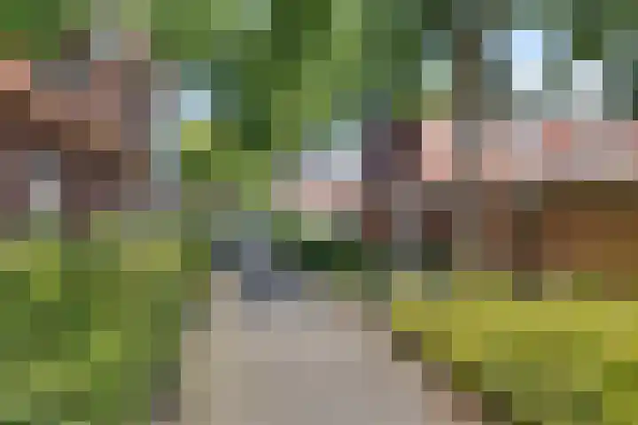Uranusstraat 10 Hengelo thumbnail 35