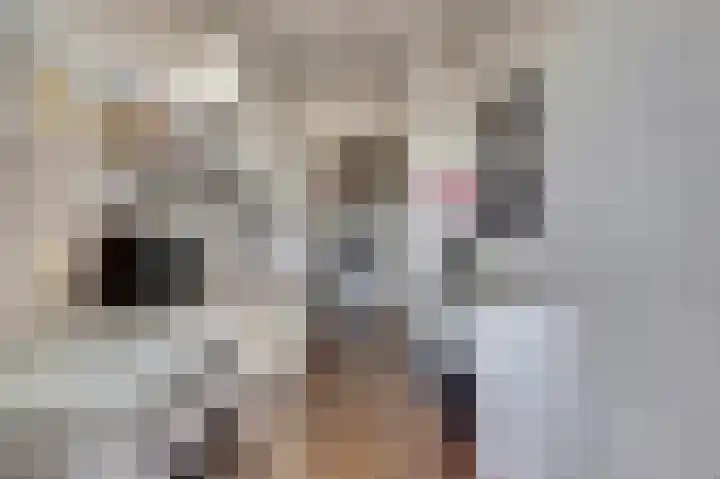 Uranusstraat 13 D Spijkenisse thumbnail 12