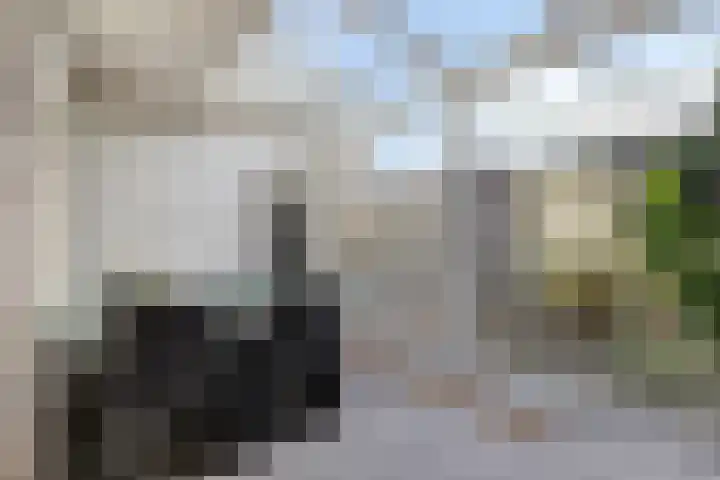 Uranusstraat 19 Asten thumbnail 14