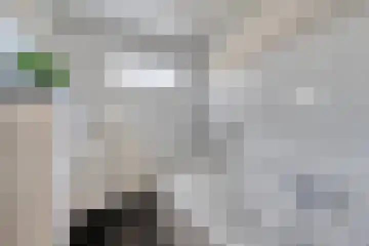Uranusstraat 19 Asten thumbnail 26
