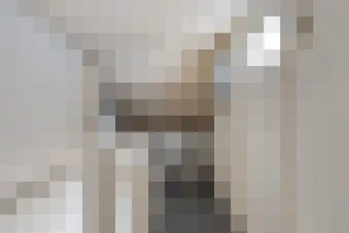 Uranusstraat 19 Asten thumbnail 29