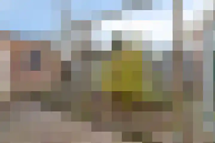 Uranusstraat 19 Asten thumbnail 32