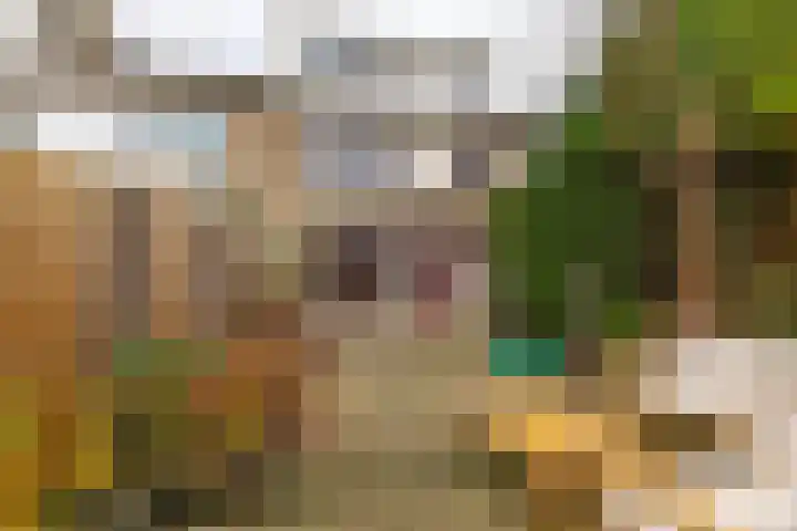 Uranusstraat 20 Groningen thumbnail 21