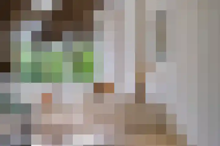 Uranusstraat 25 Nijmegen thumbnail 12