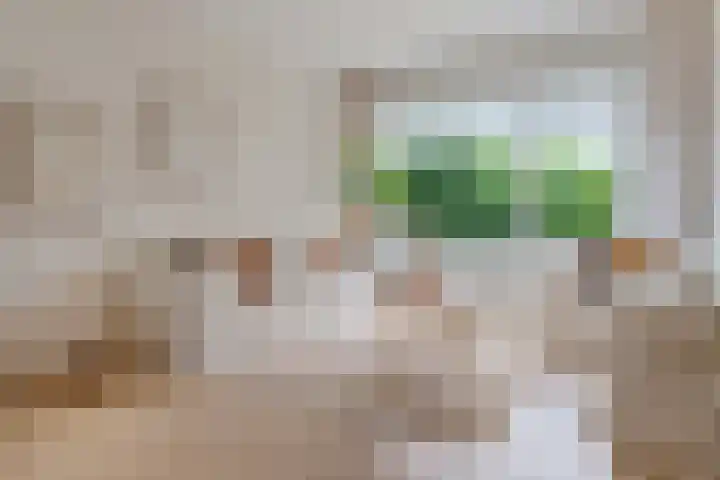 Uranusstraat 25 Nijmegen thumbnail 13