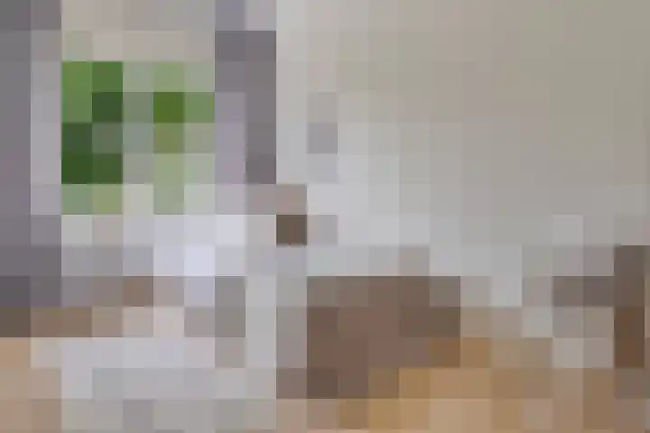 Uranusstraat 25 Nijmegen thumbnail 36