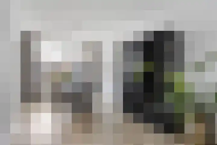 Uranusstraat 26 Asten thumbnail 12