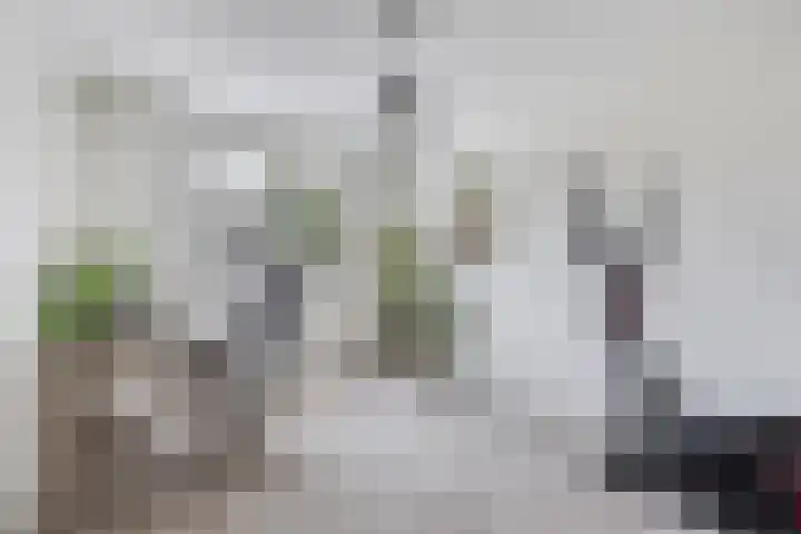 Uranusstraat 26 Asten thumbnail 26