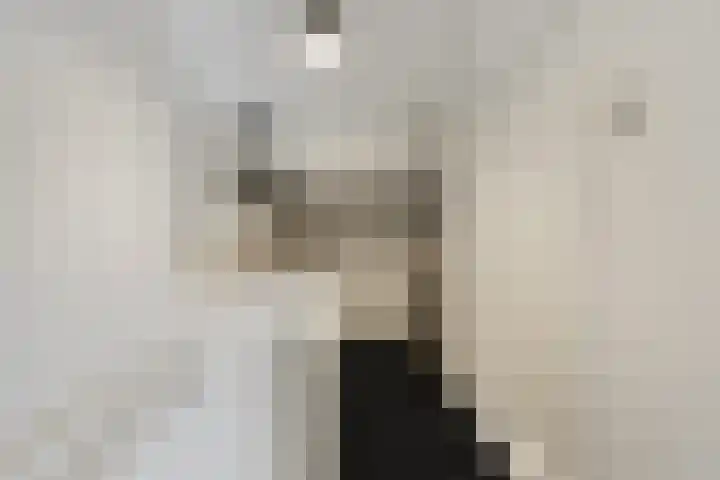 Uranusstraat 26 Asten thumbnail 33