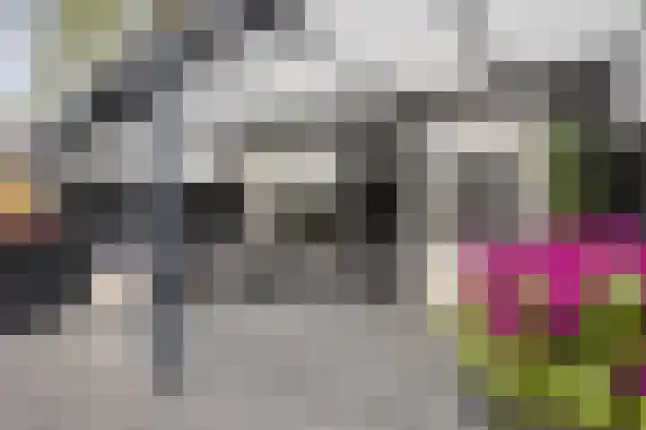 Uranusstraat 26 Asten thumbnail 39