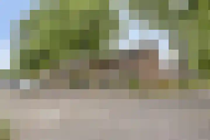 Uranusstraat 26 Asten thumbnail 42