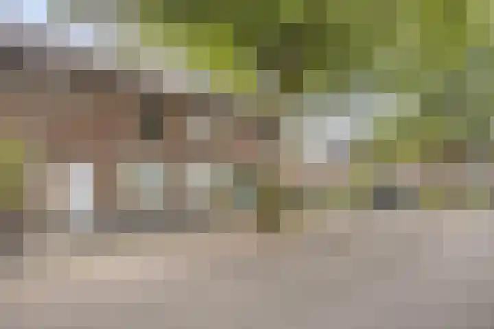 Uranusstraat 26 Asten thumbnail 45