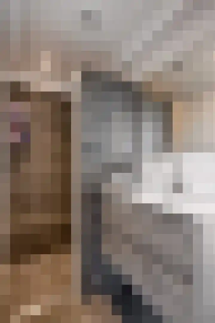 Uranusstraat 3 A Spijkenisse thumbnail 17