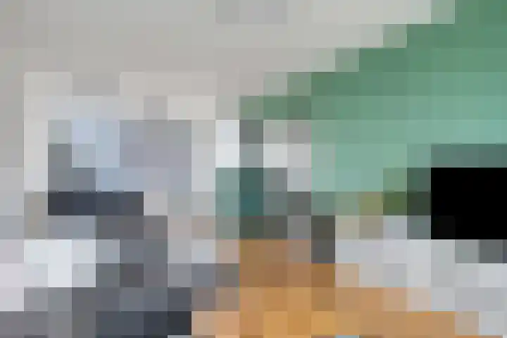 Uranusstraat 3 A Spijkenisse thumbnail 8