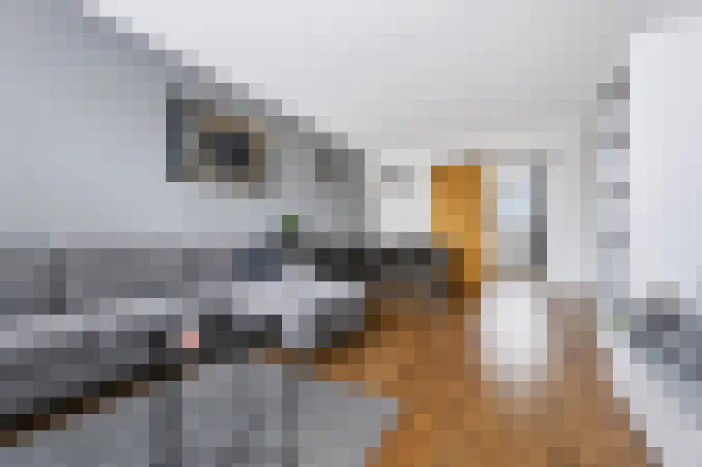 Uranusstraat 32 C Spijkenisse thumbnail 18