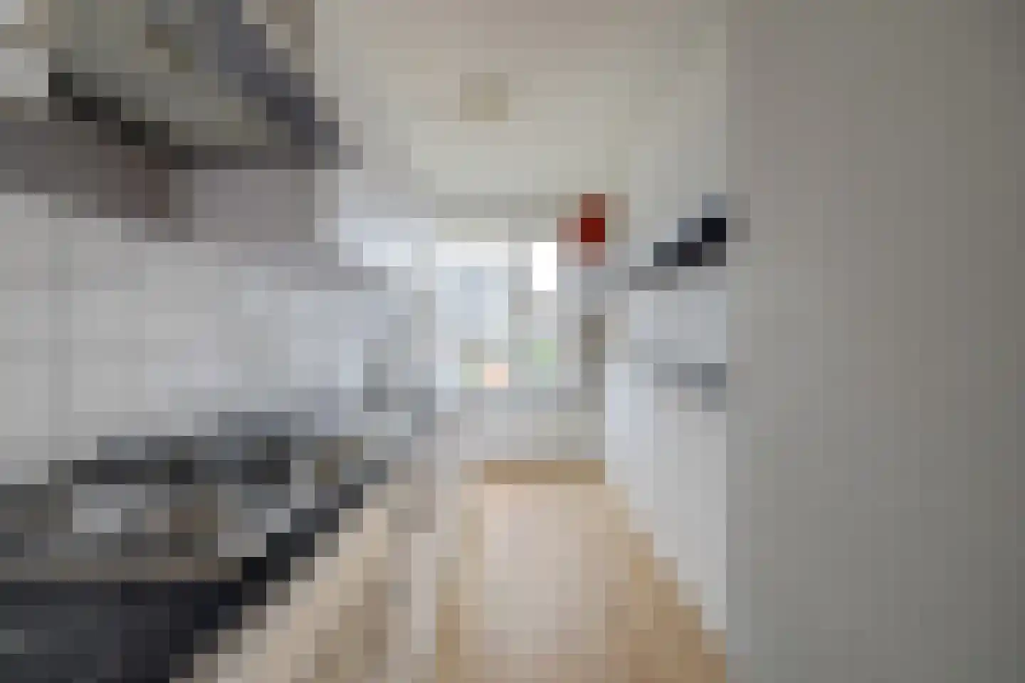 Uranusstraat 36 B Spijkenisse thumbnail 10