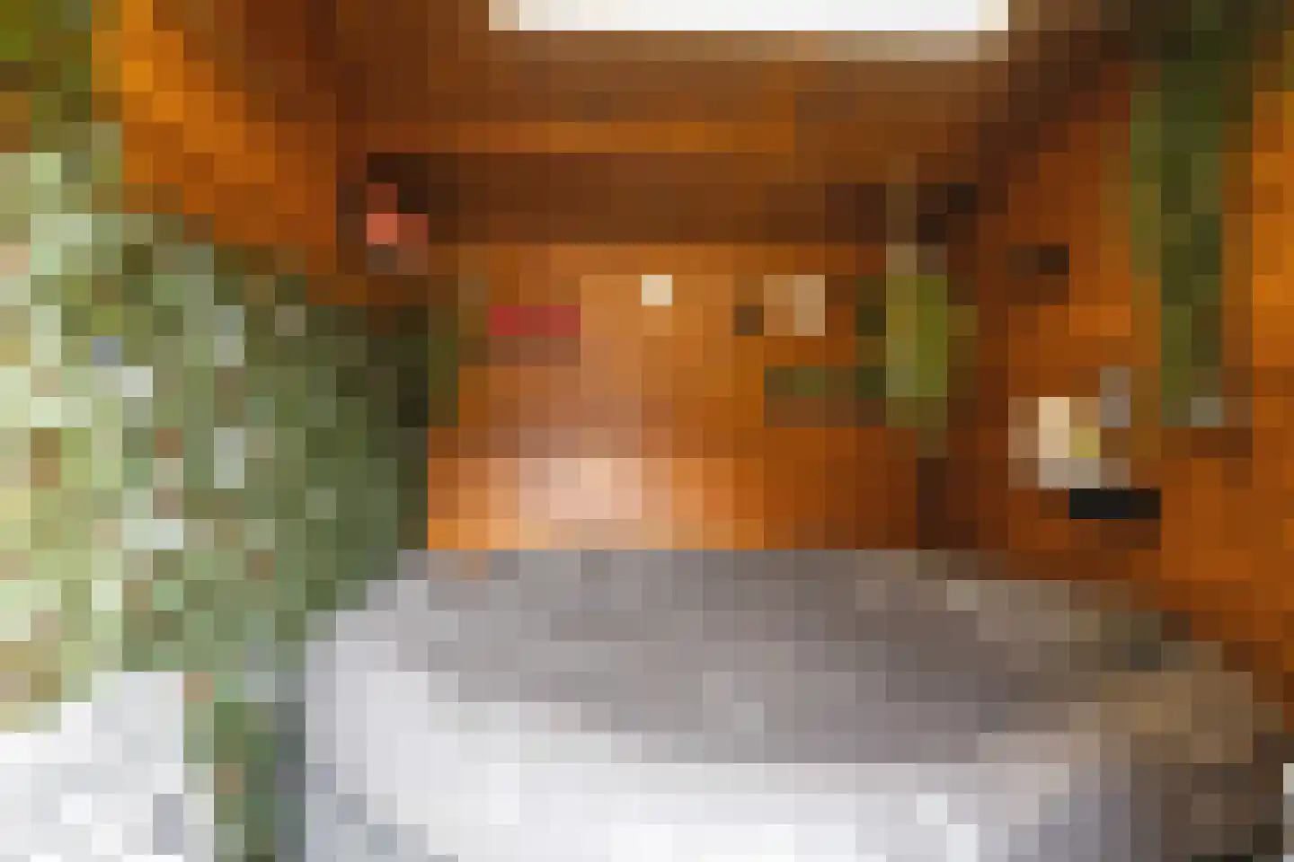 Uranusstraat 36 Hengelo thumbnail 33