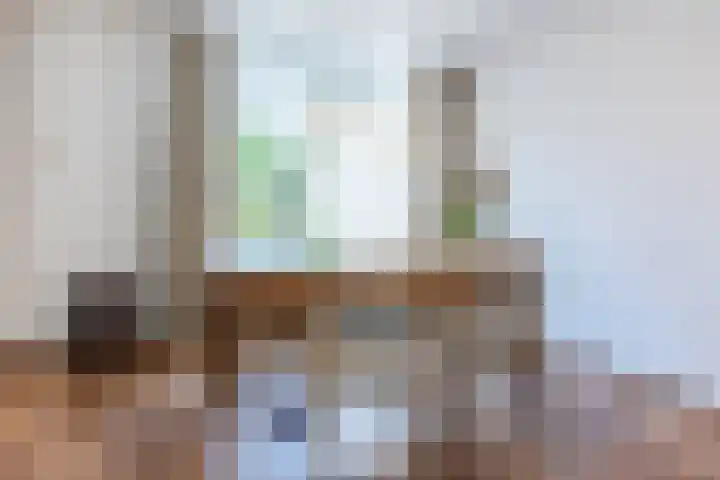Uranusstraat 4 Dongen thumbnail 12
