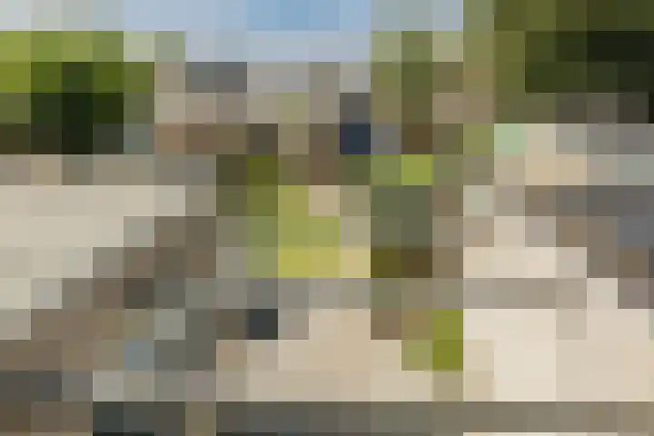 Uranusstraat 4 Dongen thumbnail 22