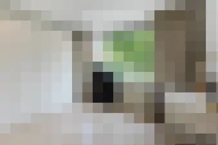 Uranusstraat 4 Dongen thumbnail 27