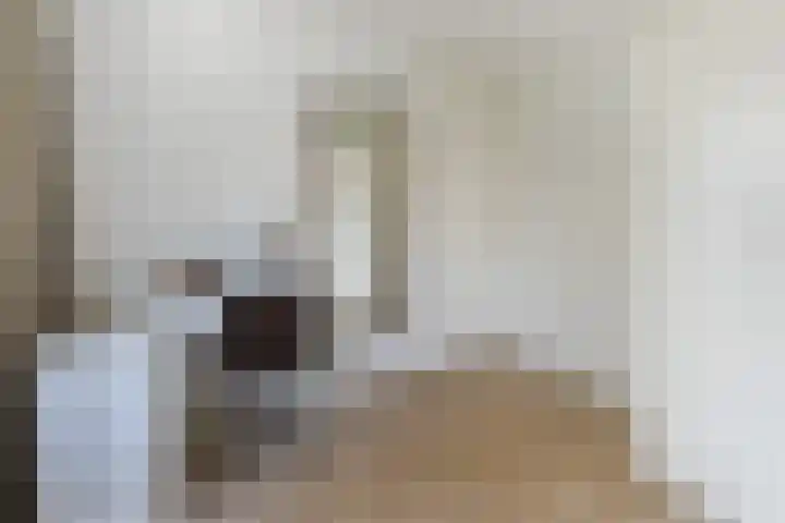 Uranusstraat 4 Dongen thumbnail 28