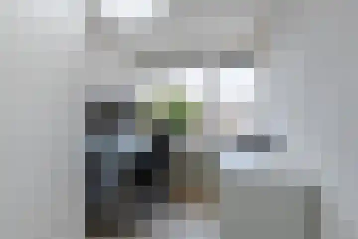 Uranusstraat 4 Dongen thumbnail 30