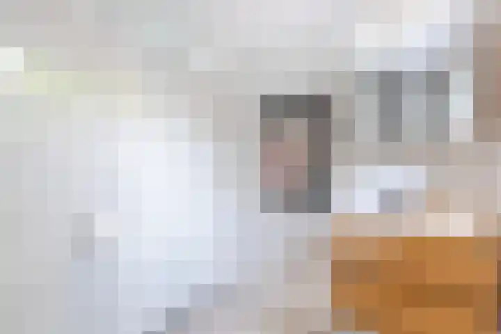 Uranusstraat 4 Dongen thumbnail 34