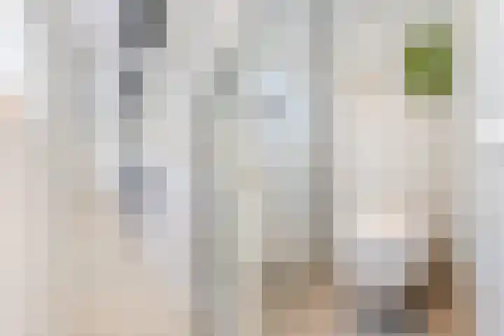 Uranusstraat 4 Dongen thumbnail 36