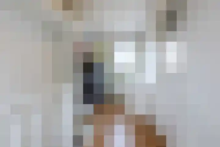 Uranusstraat 4 Dongen thumbnail 37