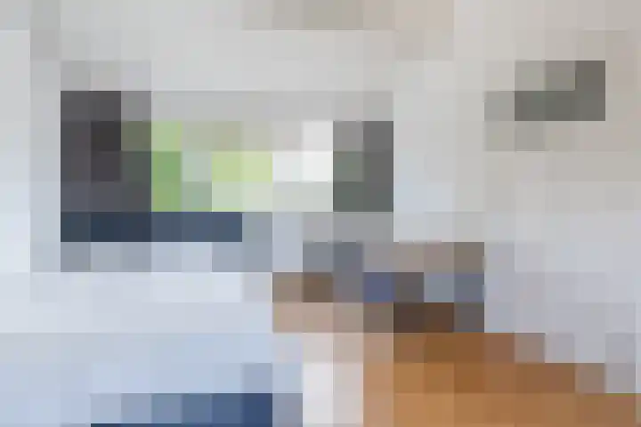 Uranusstraat 4 Dongen thumbnail 38