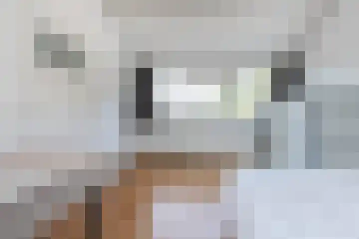 Uranusstraat 4 Dongen thumbnail 40