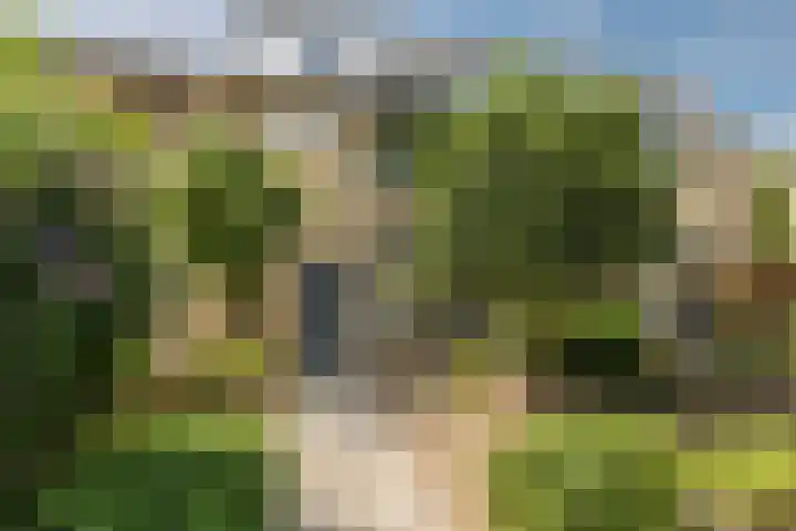 Uranusstraat 4 Dongen thumbnail 42