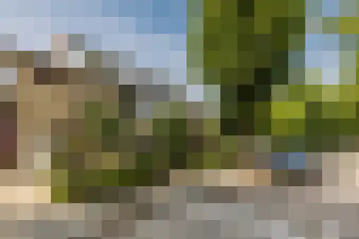 Uranusstraat 4 Dongen thumbnail 44