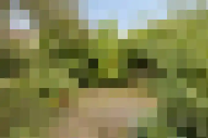 Uranusstraat 5 Aalsmeer thumbnail 18