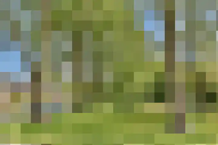 Uranusstraat 5 Aalsmeer thumbnail 37