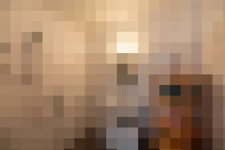 Uranusstraat 50 Groningen thumbnail 24