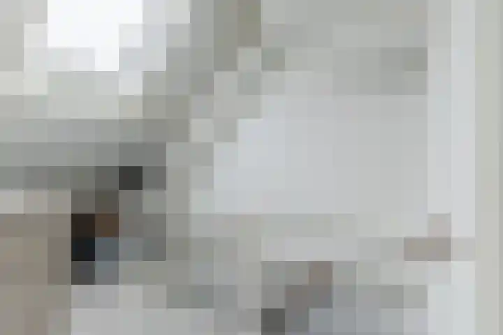 Uranusstraat 6 Oudorp thumbnail 24