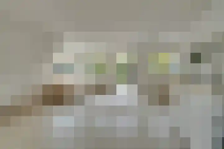 Uranusstraat 9 Amsterdam thumbnail 17