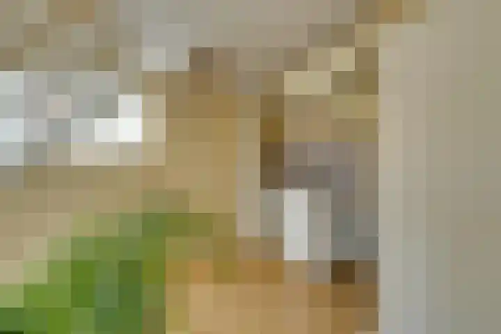 Uranusstraat 9 Amsterdam thumbnail 36