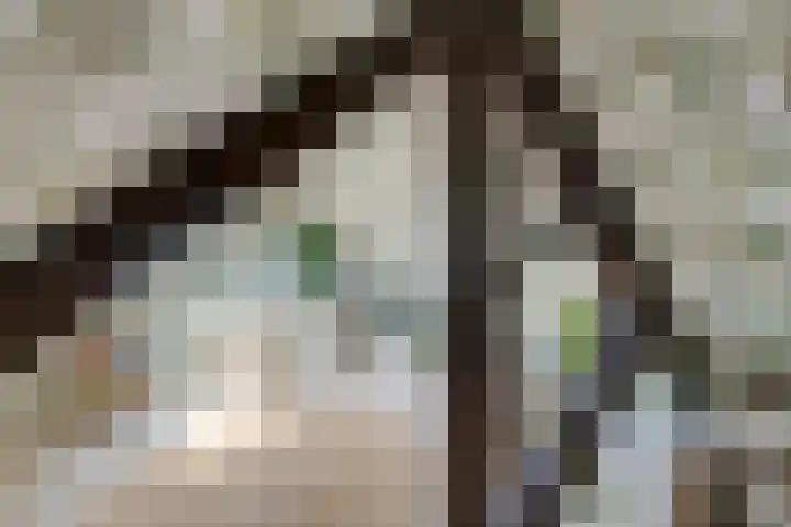 Uranusstraat 9 Amsterdam thumbnail 41