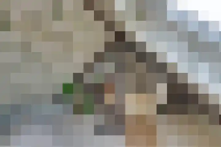 Uranusstraat 9 Amsterdam thumbnail 43