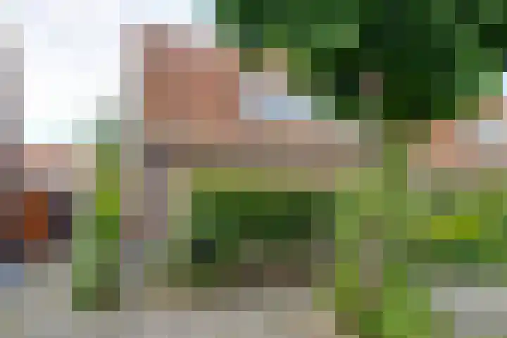 Uranusstraat 9 Amsterdam thumbnail 6