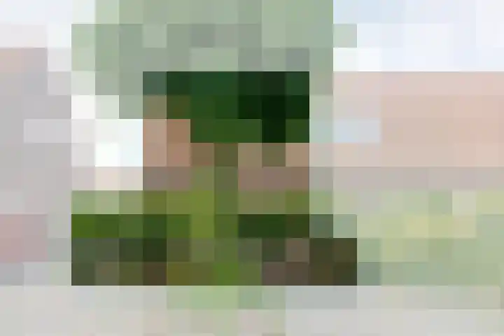 Uranusstraat 9 Amsterdam thumbnail 7
