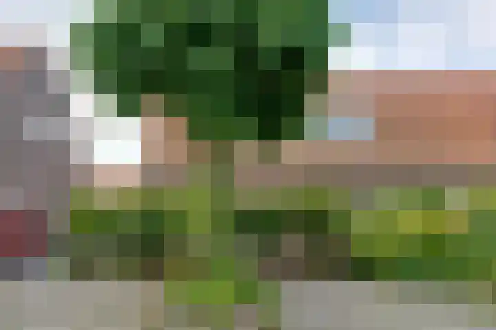 Uranusstraat 9 Amsterdam thumbnail 8