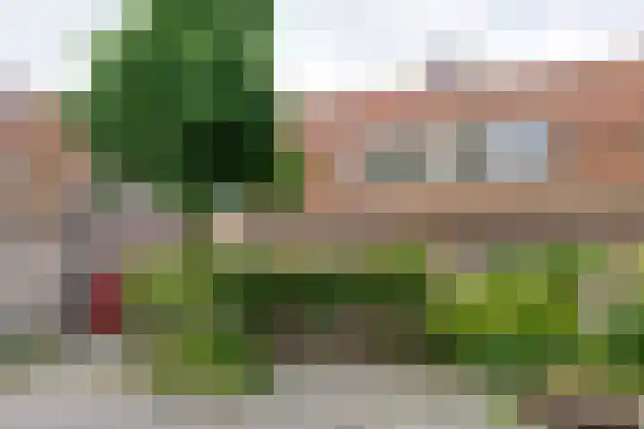 Uranusstraat 9 Amsterdam thumbnail 9