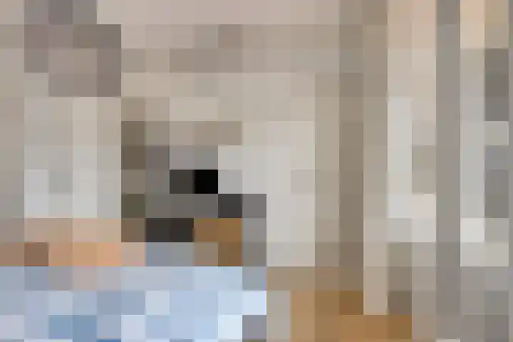 Uranusstraat 9 D Spijkenisse thumbnail 12