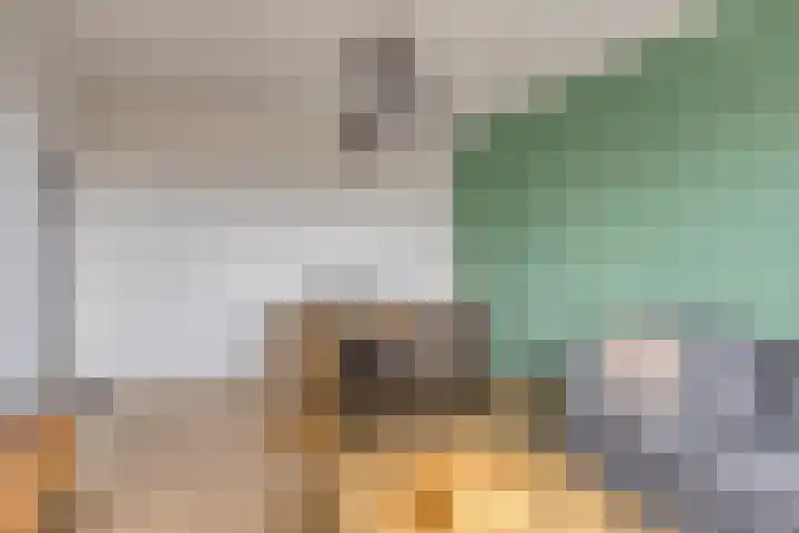 Uranusstraat 9 D Spijkenisse thumbnail 5