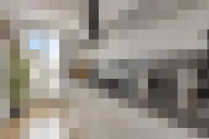 Uranusstraat 9 D Spijkenisse thumbnail 7