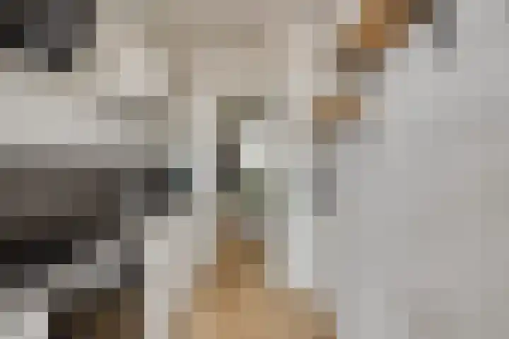 Uranusstraat 9 D Spijkenisse thumbnail 8